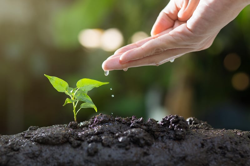 Group Gardening
